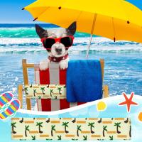 Cinta Elástica Para Silla De Playa Colorida Y Resistente Al Viento 11.8 Pulgadas Accesorio De Playa Para Almacenamiento De Sábanas Y Fundas De Almohada - details 0
