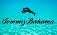 PACK 2 Sillas de Playa Tommy Bahama Reclinable 5 Posiciones - Hamaca de Playa Tommy Bahama Reclinable 5 Posiciones - Tumbona Plegable, Ligera y Resistente, Con Mochila, Almohada, Portavasos y Bolsillos Térmico - Aluminio y Poliéster - details 8