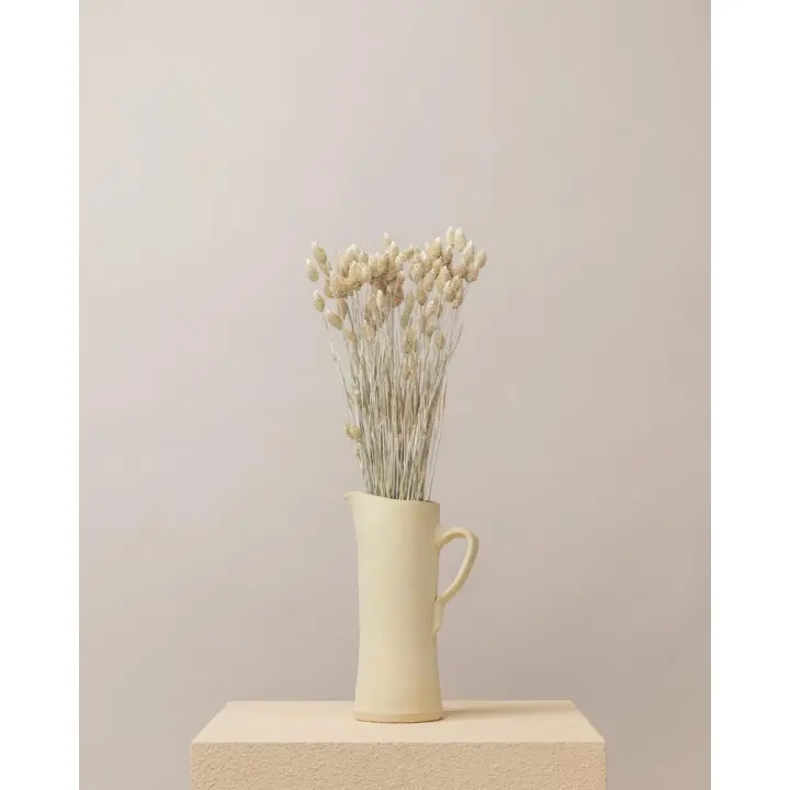 Phalaris seco blanco  Premium - 1