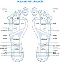 Manta De Masaje Para Los Pies Con Placas De Presión Acupuntura Yoga Para Relajación Y Terapia De Piedras Herramienta De Masaje Para Los Dedos Matriz De Meridianos - details 3