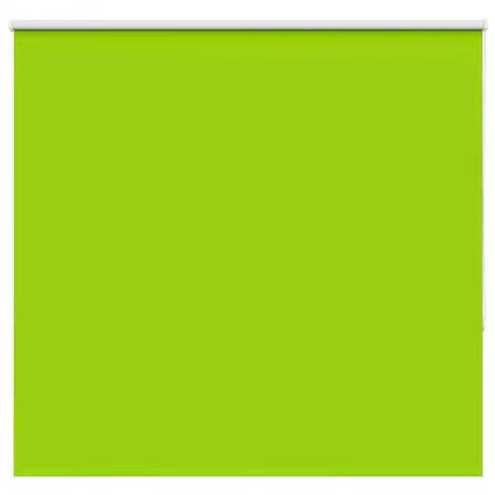 vidaXL Estor Enrollable Opaco hojas verde 155x150cm Tela Ancho 151,6cm - 1