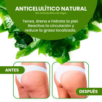 Bleu & Marine Bretania - Envoltura de Algas Marinas 1500g Reductora Anticelulitis Natural - Tratamiento Corporal Drenante - details 1