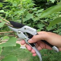 Podadora de yunque (GPPS-1001). Tijeras para setos de jardín Cortador de ramas - details 1