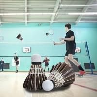 Pelota De Badminton Profesional Hecha De Pluma De Ganso Negra Para Entrenamiento Deporte Material De Cabeza Poliéster Esponjado - details 1