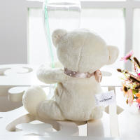 Oso De Peluche Grande Para Bebé En Rosa / Azul / Blanco Suave Y Suave 10 Pulgadas Para Niños Y Adultos - details 3