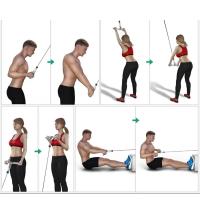 Agarre Recto Bíceps Fitness Tech - Trabaja los Tríceps con Eficacia - details 2
