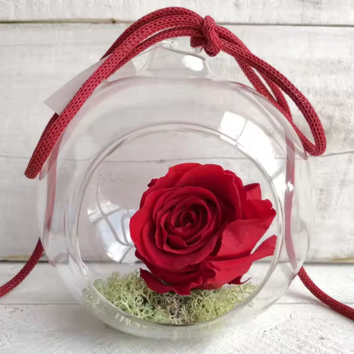Tusplantas Bola de Cristal con Rosa Eterna - Regalo Especial - 1