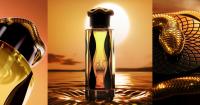 TERIAQ INTENSE LATTAFA 100ML EAU DE PARFUM perfume Arabe UNISEX - details 1