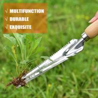 1pc Herramienta De Jardín Alejador De Malas Hierbas Acero Inoxidable Con Puntas Filosas Para Yarda Y Aseo Del Jardín - details 10