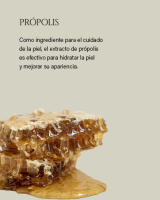 Beauty of Joseon - Set de protector solar de Arroz + Probióticos (50 ml* 1 unidades) SPF 50+ PA++++ - details 4