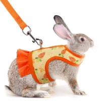 Juego De Correa Para Conejo Universal Con Estampado De Radish En El Pecho Y Cuerda De Tracción Al Aire Libre Accesorios Para Mascotas - details 6