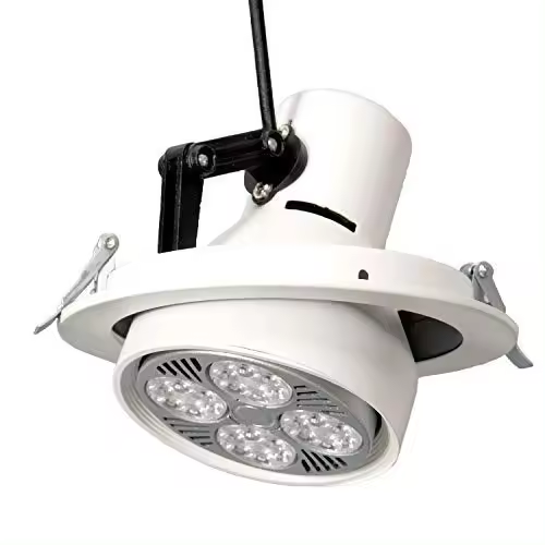 EMPORTRADO CÁSCARA DE DOWNLIGHT EN MOVIMIENTO - 1