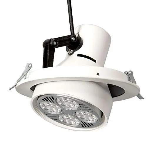 EMPORTRADO CÁSCARA DE DOWNLIGHT EN MOVIMIENTO - 1