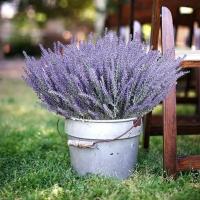 10 Bundles De Lavanda Artificial Flores Falsas Para Decoración De Hogar Mesa Habitación Jardín Boda Exterior Plantas - details 8