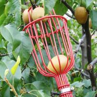 Cesta Profunda Para Jardín Herramienta De Recogida De Frutas Adecuada Para Manzanas Y Duraznos Dispositivo De Recogida En Granjas - details 0