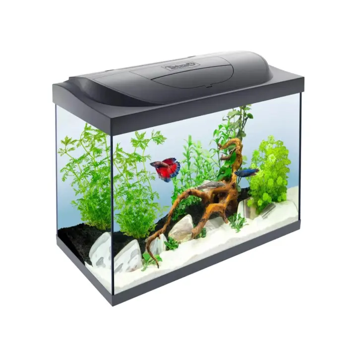 Kit Tetra Starter Line 80L LED Acuario estable para principiantes con tecnología, alimentos y productos de cuidado - 1
