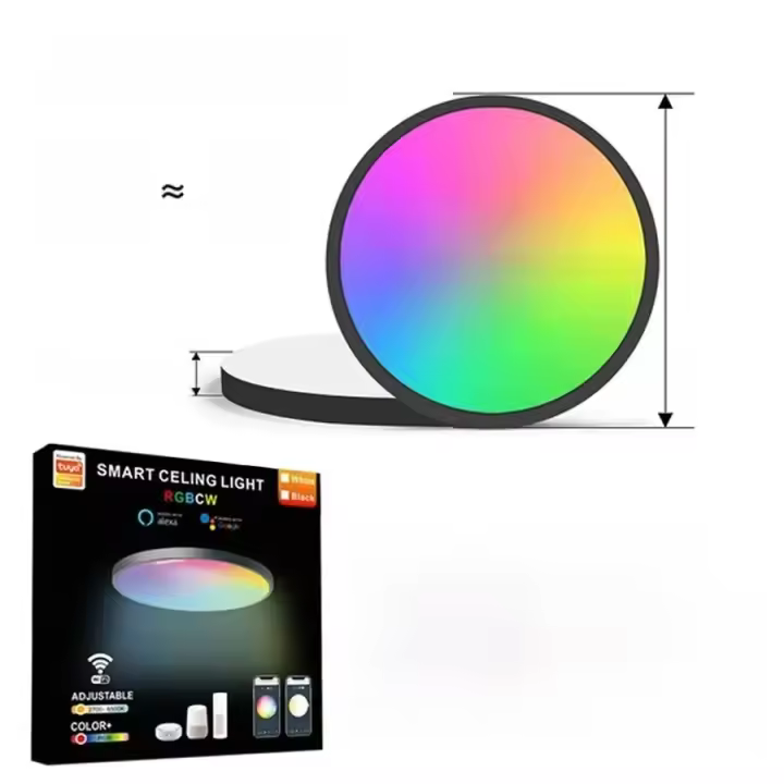 Lámpara De Techo Plana LED Ultra Delgada 20/24W Redonda Para Cocina Dormitorio Basamento Pasillo Sala De Estar Iluminación Diaria Ajustable Color Negro - 1