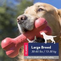 KONG Goodie Bone Mordedor Hueso de Goma Rojo Talla L - details 1
