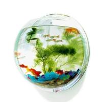 Acuario De Pared Para Peces Tangkoko De Acrílico Colgante Montado En La Pared Tanque De Acuario Para Mascotas Acuáticas 2L - details 6