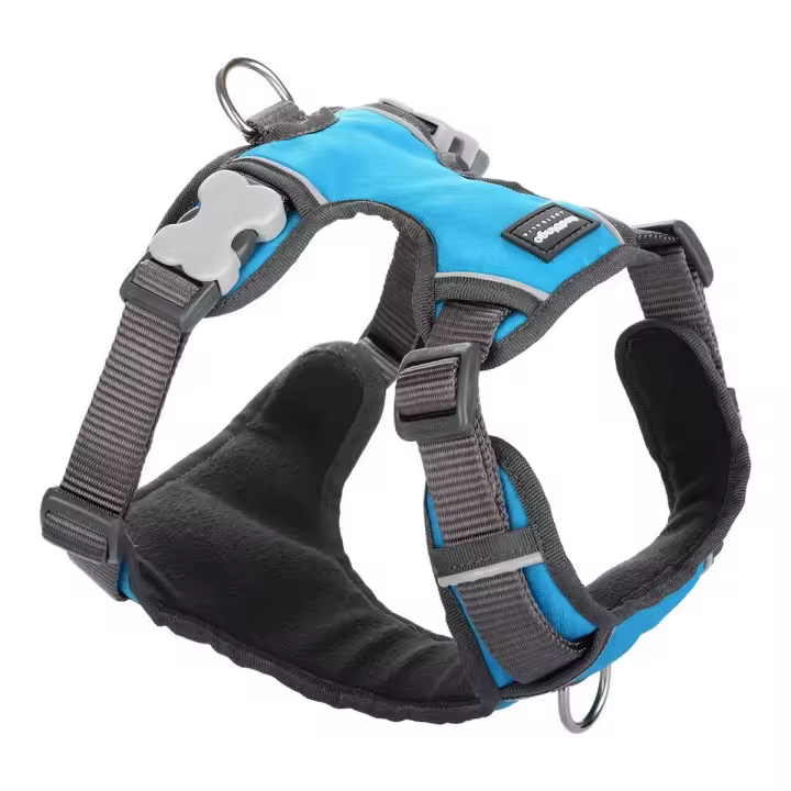 Arnés para Perro Red Dingo Acolchado Turquesa Talla XL - 1