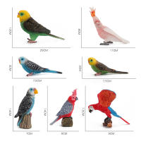 Figura De Acción De Papagayo Realista Serie De Pájaros Simulados Modelo Sólido Para Juguete Educativo Para Niños Regalos De Navidad - details 0