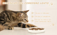 PETTOM Comedero Antivoracidad para Gatos Perros Pequeños, Cuenco Tazon Platos Interactivo con Fondo Antideslizante para Comida Lenta Gato Mascotas Perro Pequeño 16x16 cm - details 1