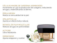 Atashi Antiedad Crema Reparadora Antiarrugas | Reparación Y Renovación | Corrige Arrugas Profundas | Efecto Botox Natural Y Anti-Estrés | Ultra-Hidratante | Con Retinol Y Vitamina E - 50 ml - details 1