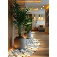 Dracaena Marginata | Plantas a Domicilio | Plants Indoor | Drácena de Interior | Deco interiorismo - details 2