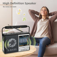 Radio Portátil Retro AM FM Con Altavoz Integrado Mejor Receptor Y Batería Recargable SW1-6/USB/TF Uso Interior Y Exterior - details 6