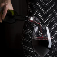 Aerador De Vino Premium De Cristal SUNFILI Tapa De Botella De Licor Espigón Para Bar Accesorio Para Amantes Del Vino - details 5