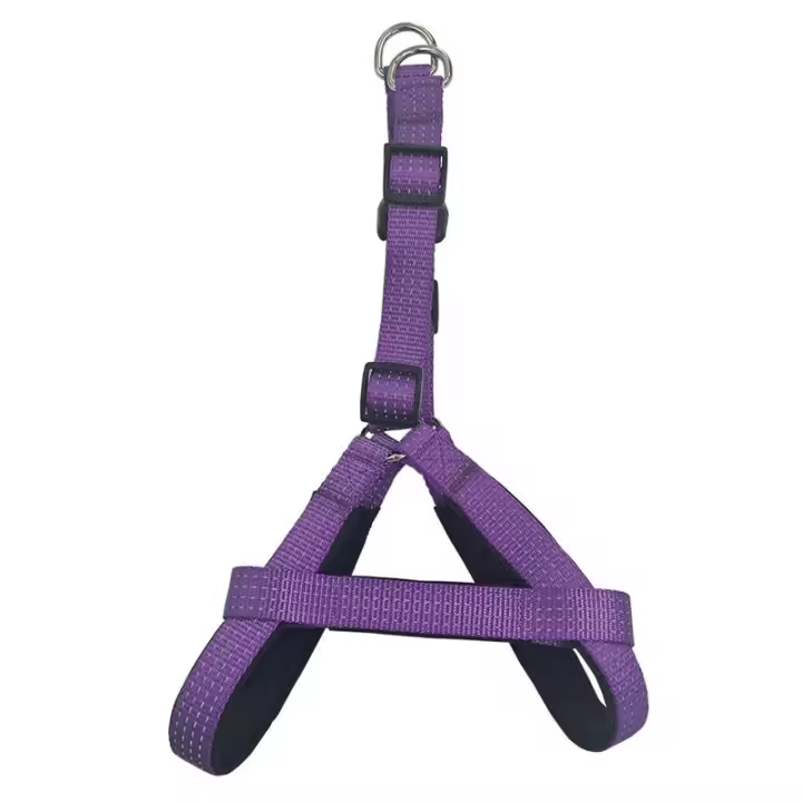Arnes para Perros, color Morado, Antitirones, Hebillas cromadas, Arquivet - 1