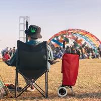 Carrito de Compras Plegable de Gran Capacidad con 2 Ruedas  Soporte Metálico Resistente  40 Litros de Almacenamiento - details 1
