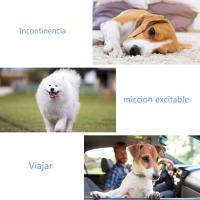 SMELL & SMILE Pañales Desechables para Perro Pañales para Perros Macho Pañal Sanitarios para Perro Mascotas Bragas Higiénicas Suaves absorbentes (M-20.5 x 61 CM) - details 8