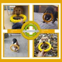 Juguetes Para Perros Indestructibles De Masticar Disco Volador Entrenamiento Para Pequeños Medianos Y Grandes Perros Juegos De Cazar Y Lanzar - details 1