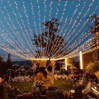 Luces LED De Navidad 220V EU Plug 10M 20M Guirnalda Decorativa Para Exterior Fiesta Casamiento Hogar Luces De Año Nuevo - details 5