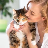 ARMI Perfume MUSK Para Perros 100ml - Perfume Perros - Perfume Gatos Armi - Armi Perfume MUSK Para Gatos - details 3