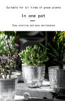 Maceta Transparente De Plástico Para Plantas Hidroponicas Autoabastecimiento Sin Agua Con Almacenamiento Basin De Cultivo Sin Agua - details 3
