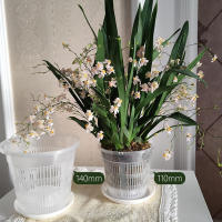 Maceta Transparente Para Orquídea Phalaenopsis Control De Raíces 11/14/16/19cm Decoración Para El Hogar Con Estomatología Material Plástico - details 0
