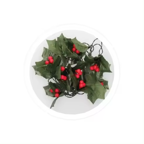 Gsc Evolution Muérdago LED 1.65M Rojo - Luces Decorativas - Temporizador Automático - 1
