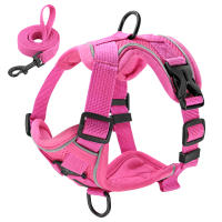 Set De Correa Y Arnés Reflectante Para Perros Y Gatos De Malla Y Nylon Para Pequeños Y Medianos Perros Bulldog Pug - details 4