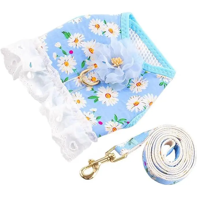 Verde Arnés y Correa para Perro Sin Tirar Suave Ajustable Transpirable Malla Lindo Floral Cachorro Gato Seguridad Chaleco Arneses para Perros Pequeños Gatos Niñas (azul, M) - 1