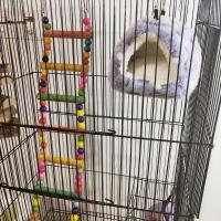 Cama Suave De Invierno Para Hamster Nido Pequeño Para Surtido Guisante Casa De Conejo Rodente Erizo Cama De Algodón Para Animales De Compañía - details 13
