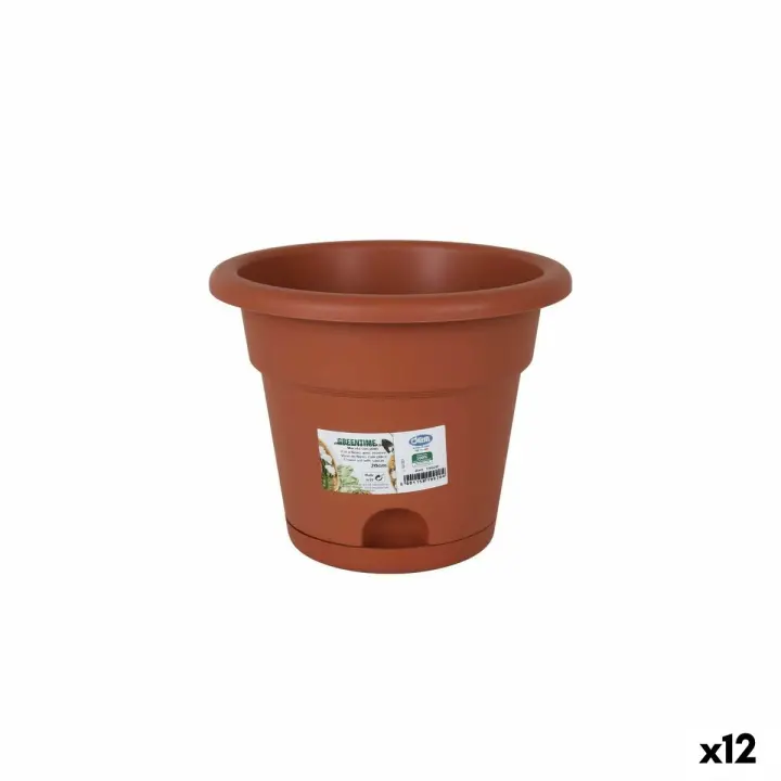 Maceta con Plato Dem Greentime Marrón 20 x 20 x 16 cm (12 Unidades) - 1