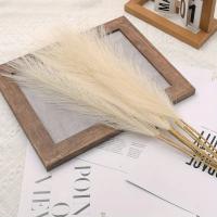 10PCS Ramas De Pampas Blancas Artificiales De 54-55CM Majestuosas Para Decoración De Bodas Hogar Y Bohemia Relleno De Vaso De Piso - details 2