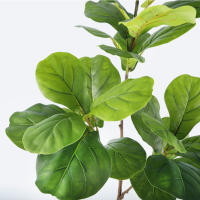 Falsa Hoja De Magnolia Y Ficus 105cm Para Decoración De Jardín Patio Interior Oficina Hoja De Figura Artificial De 41.3 Pulgadas - details 13