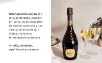 Ars Collecta Blanc de Blancs - Cava Reserva - details 3