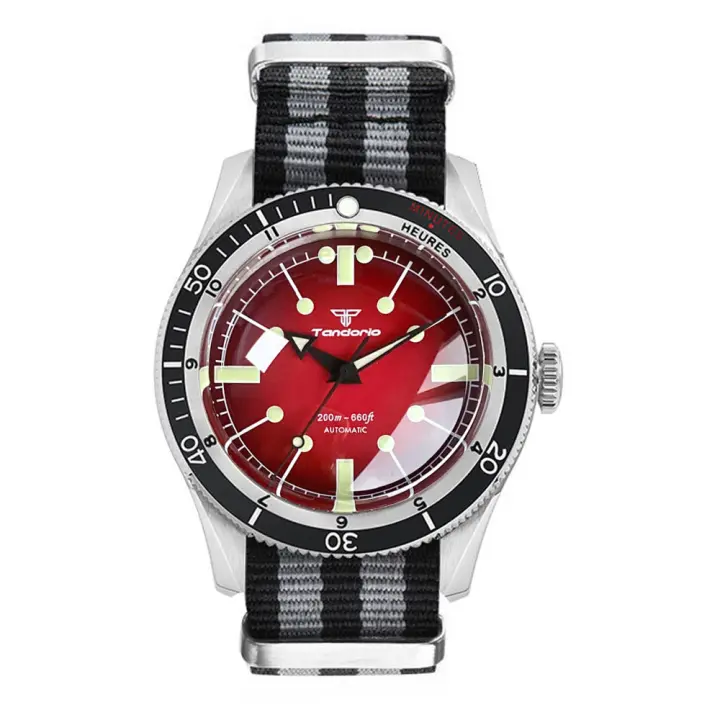 Reloj De Pulsera Automático Tandorio 24 Joyas 40mm NH35 Diversión Para Hombres Resistente Al Agua 20ATM Cristal De Zafiro Domado Corona a Tornillo - 1