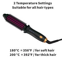 Cepillo De Rizado Con Aire Caliente Profesional Para Peluquería Secado Rápido Cerámica Control De Temperatura 100-210 °C Uso Seco Y Húmedo - details 2