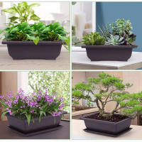 Maceta De Plástico Para Flor Square Bonsái Juego De Macetas De Balcón Basin De Jardinería 1PC - details 2