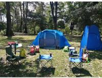 OFERTA[PACK 2]Silla Plegable de Camping de Acero, 50x50x80cm, Silla de Acampada Plegable, Ideal para Camping o Pesca, Estructura de Acero Resistente y Asiento de Lona Impermeable - details 1